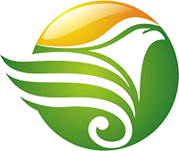瀘州網(wǎng)站建設(shè)