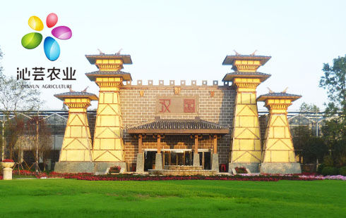四川沁蕓農(nóng)業(yè)有限公司官網(wǎng)建設(shè)