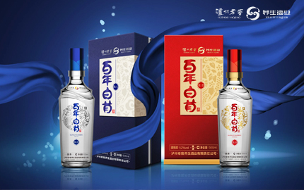 瀘州百年白首酒業(yè)有限公司網(wǎng)站建設(shè)