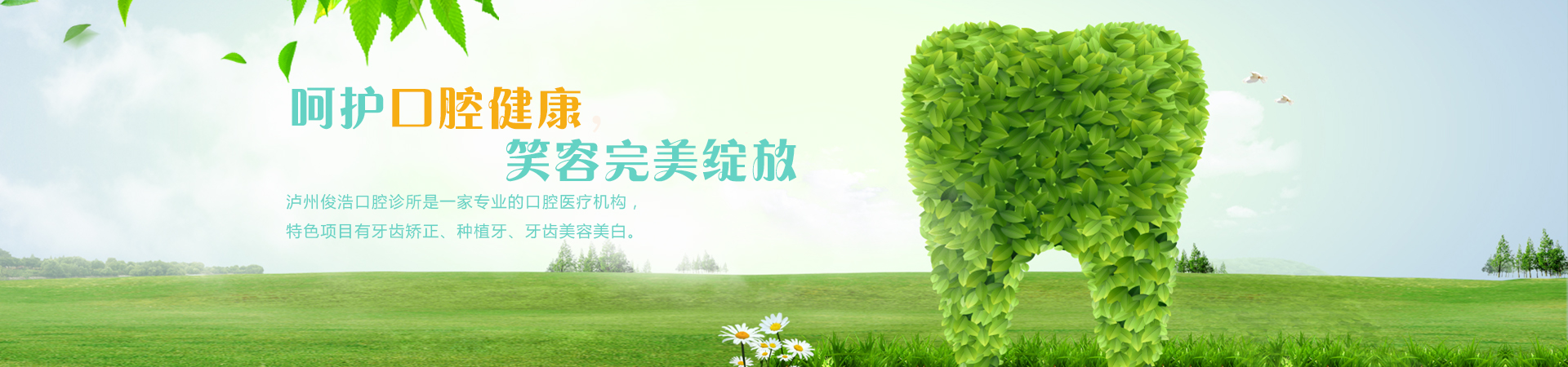 瀘州俊浩口腔診所網(wǎng)站建設(shè)