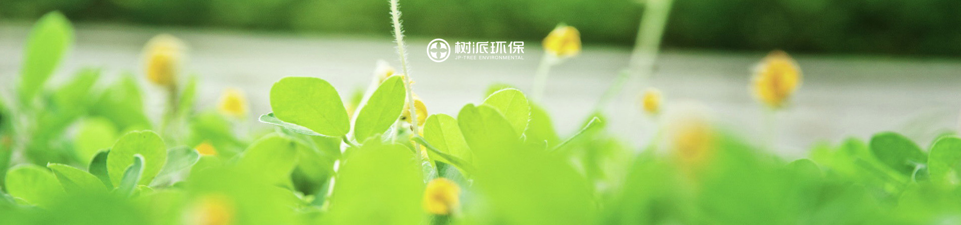 瀘州樹派環(huán)?？萍加邢薰竟倬W(wǎng)