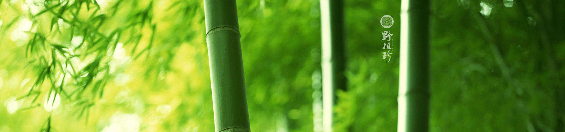瀘州野植珍食品有限公司官網(wǎng)