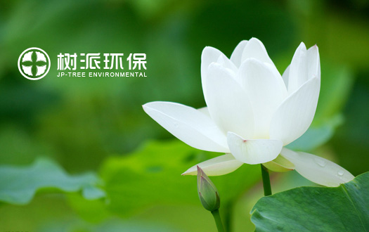 瀘州樹派環(huán)?？萍加邢薰竟倬W